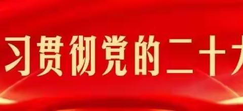 让党的二十大精神在为国储粮工作实践中落地见效——石河子直属库有限公司深入学习贯彻党的二十大精神