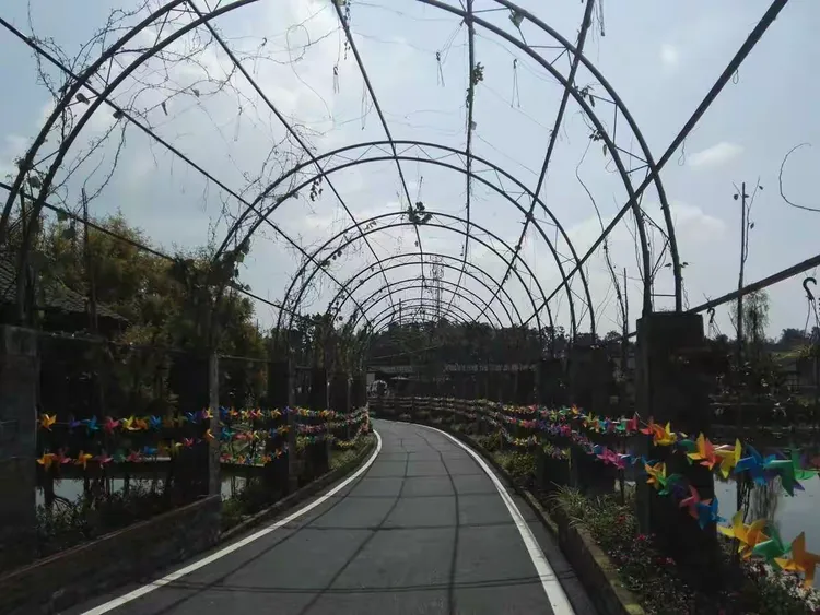驿都花海,位于九龙坡区白市驿,景区以成渝古驿站文化为线索,有白市驿