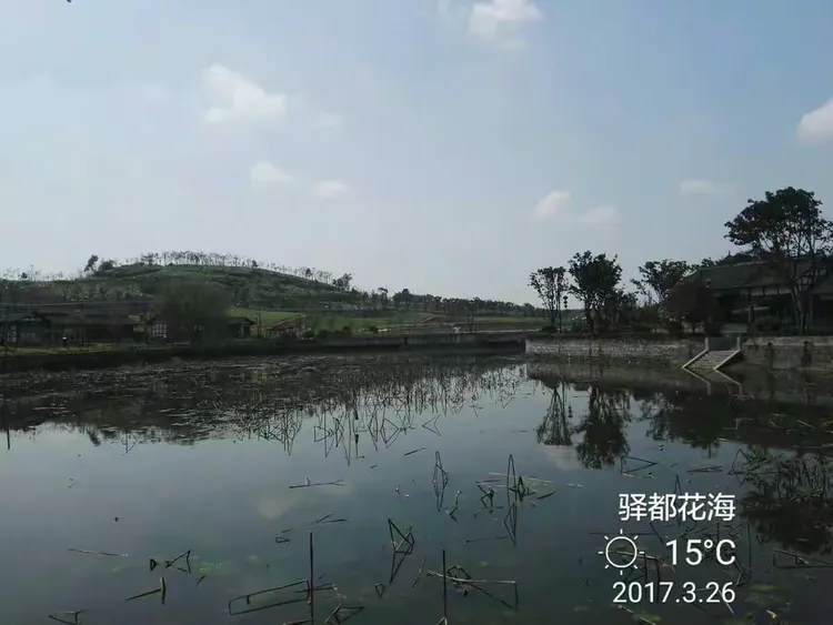 驿都花海,位于九龙坡区白市驿,景区以成渝古驿站文化为线索,有白市驿