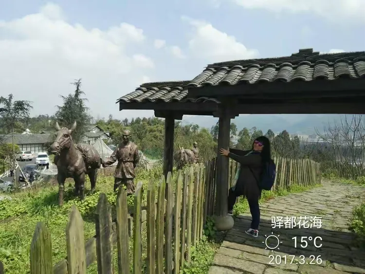 驿都花海,位于九龙坡区白市驿,景区以成渝古驿站文化为线索,有白市驿