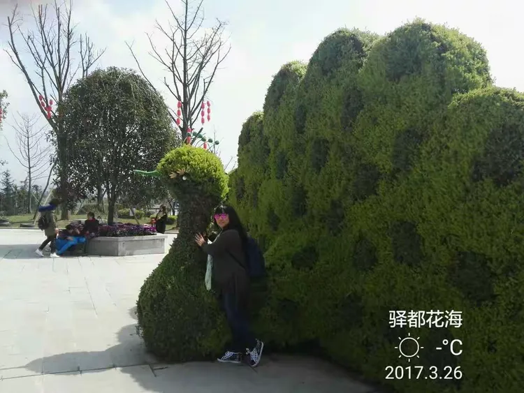 驿都花海,位于九龙坡区白市驿,景区以成渝古驿站文化为线索,有白市驿