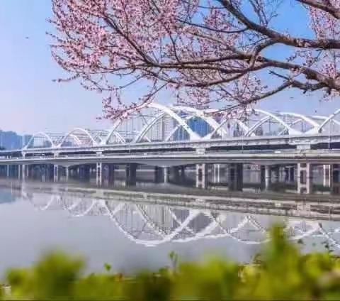 香港兰桂坊集团和松鼎资本（深圳）管理有限公司考察浐灞生态区