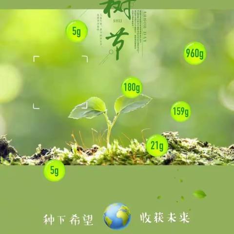 四年3班 小组植树活动