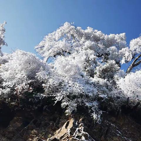 初游雷公山