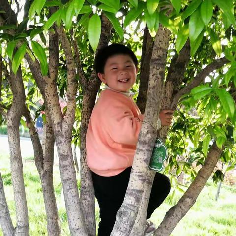 看！看！看！我淘气！我乖！