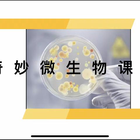 寓教于乐，探索微观世界——记初二生物第二课堂培养细菌真菌