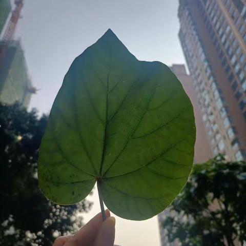 梦的那端，你还好吗？