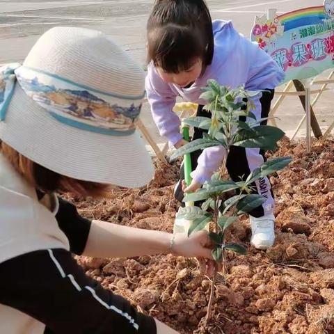 “春风十里，正“植”有你”—湘湘幼儿园植树节亲子活动