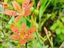 行万里路   708殷秭雯