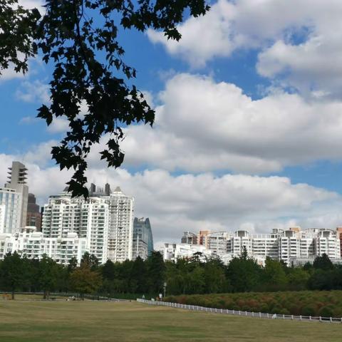 望江南.古河道新景观