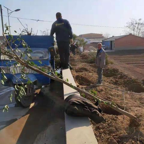 雨金社区积极开展植树增绿活动