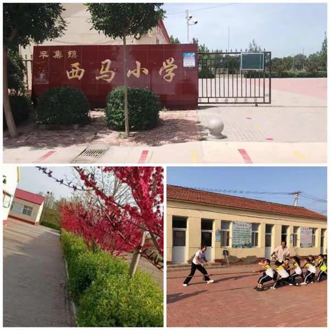 减负增效促教研 凝心聚力谱新篇——辛集镇西马小学2022年度教学教研工作总结