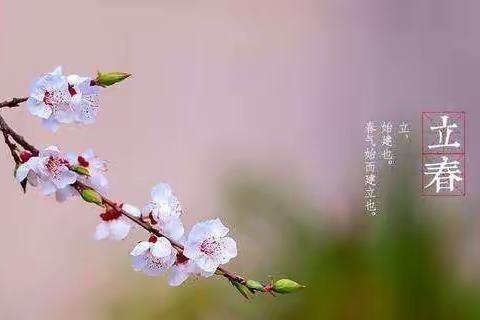 “延期不延学，成长不延期”商城实验学校幼儿园中班线上活动二