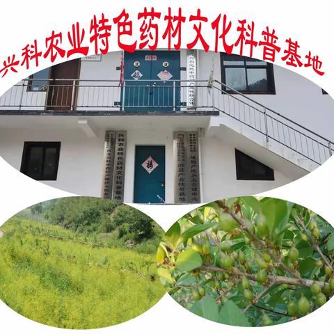 兴科农业特色药材文化科普基地简介