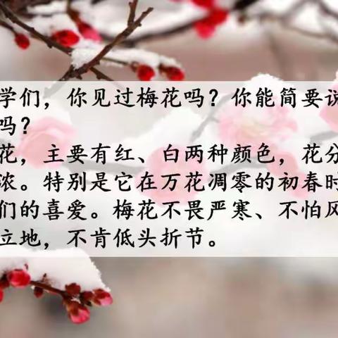 4课《梅花魂》