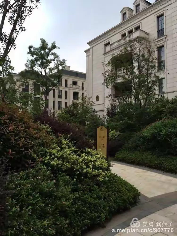 英溪桃源〈云锦苑〉四季美景🌸