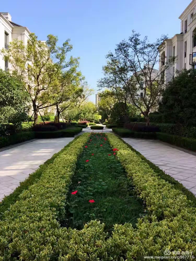英溪桃源〈云锦苑〉四季美景🌸