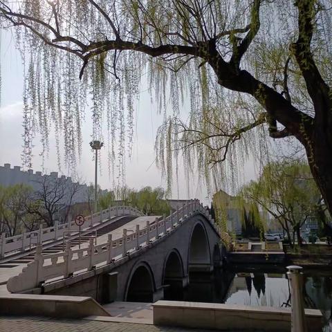 春旅小记＜1＞