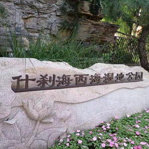 西海湿地公园一游