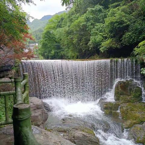 初夏南游＜3＞仙寓富硒村