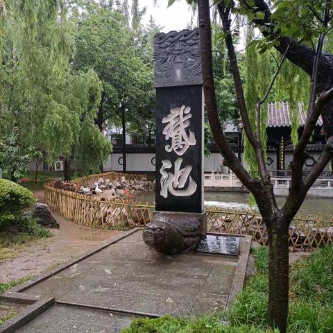 初夏南游＜4＞微山湖岛，临沂