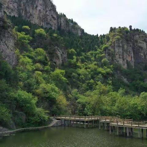 浓情三八节，防火在心中 —— 南部山区生态保护局“庆三八”巾帼志愿活动。