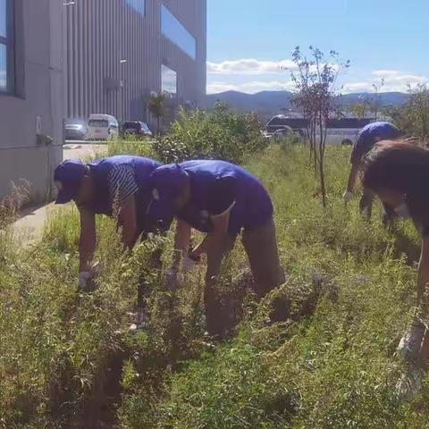 河西街道组织开展“创建文明城、健康你我他——清蒿除草”专项行动