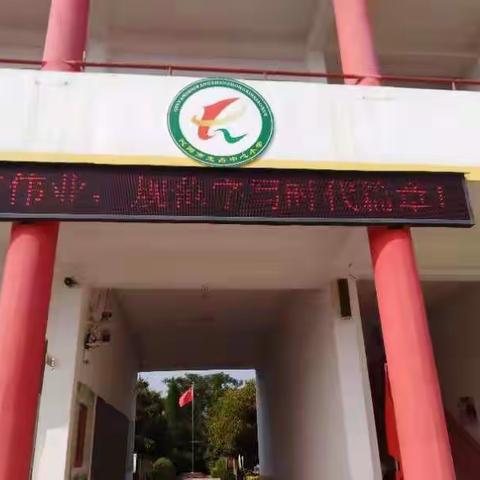 王占中心小学第24届推普周活动