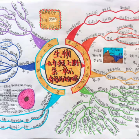 1月20日寒假优秀生物作业展示