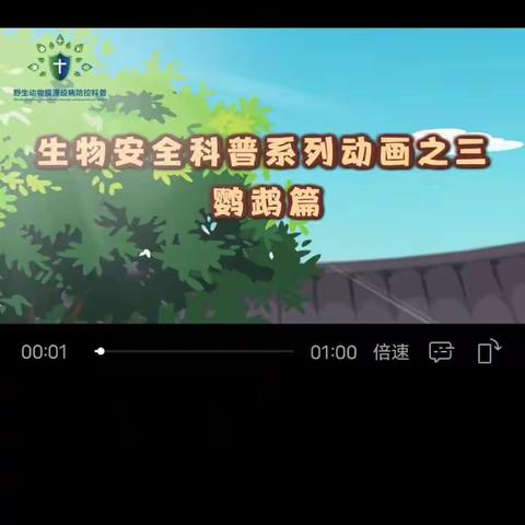 【钟灵之声23-04】鹦鹉热、诺如病毒、HRSV病预防重要提醒！———灵武市第一小学春季传染病预防