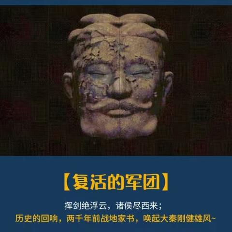 小皮的精神食粮