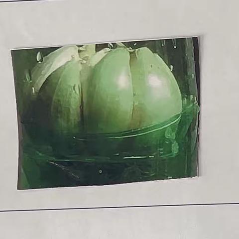 三年级三班_蒜苗成长记