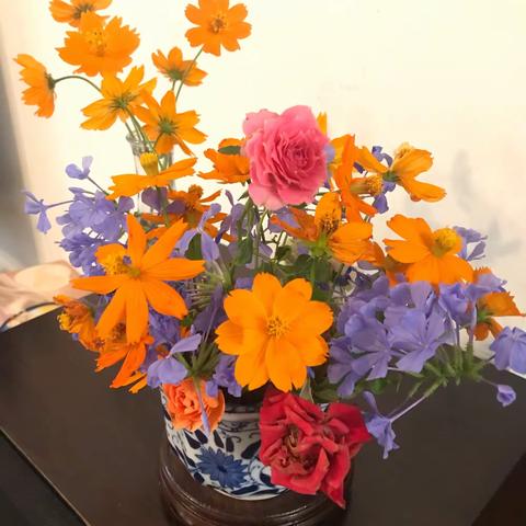 天天插花 — 留住芳颜 （1 ）