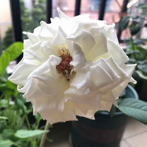 我们天堂相聚。