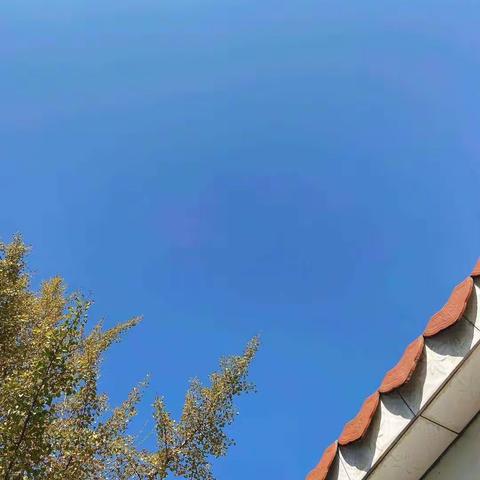 阳光行快乐游———仁爱小学秋游记