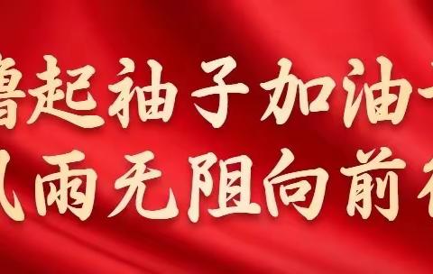 踔厉奋发担使命 勇毅前行启新程 ——罗山一中宣讲二十大精神宣讲报告会