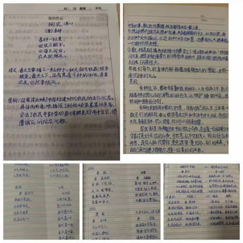 愉快的寒假，颇丰的收获