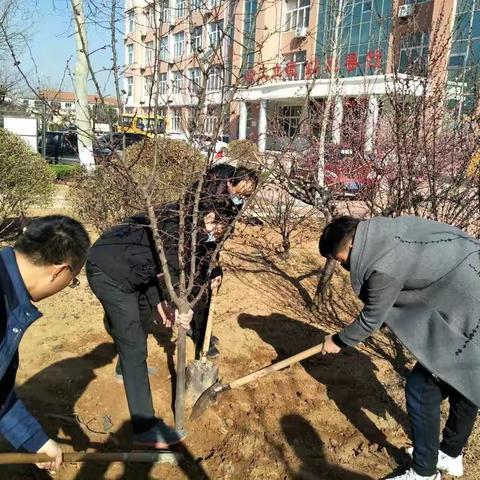 疫情过后，校园会更美——邵庄小学美化绿化校园在行动