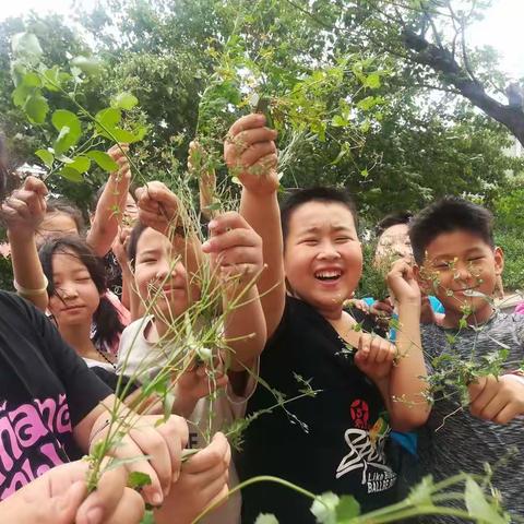 品味端午，“粽”情欢乐——邵庄小学端午节主题教育活动