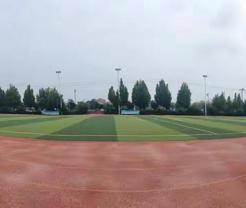 让绿色看得见  让清新闻的见    美化校园  净化心灵——下邽镇中心小学校园清扫活动