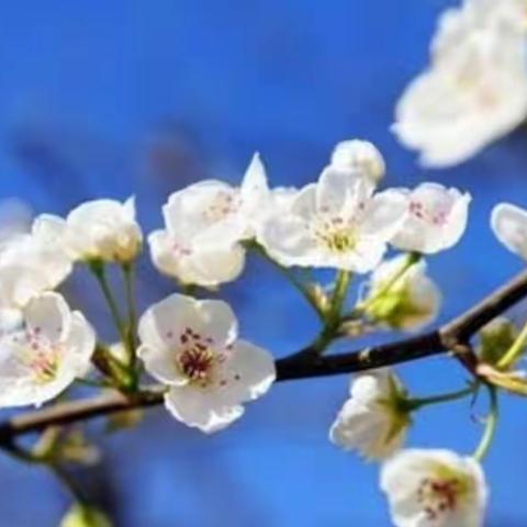 疫情复工保生产 清明时节寄哀思