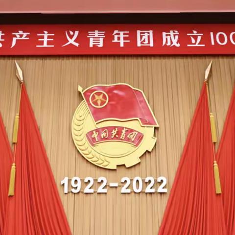 团员青年收听收看和集中学习庆祝中国共产主义青年团成立100周年大会精神