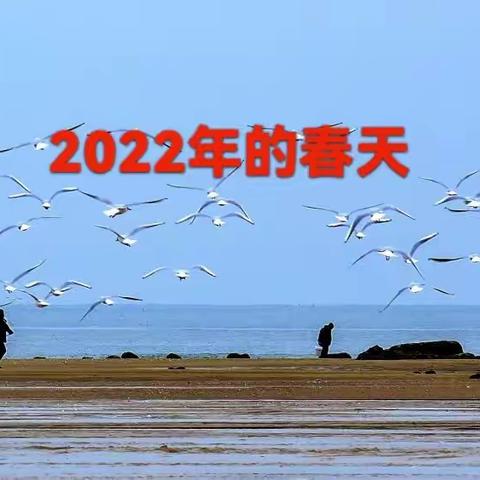 迟到的美篇——2022年的春天