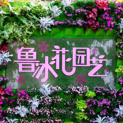 樱花烂漫几多时？柳绿桃红两未知。