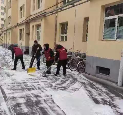 蔡家巷社区开展“清理积雪  平安出行”活动