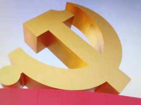 区分类中心党支部组织观看“庆祝中国共产党成立100周年大会”并组织专题研讨