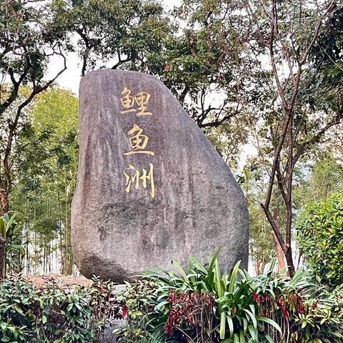 周末带娃休闲好去处——鲤鱼洲宾馆