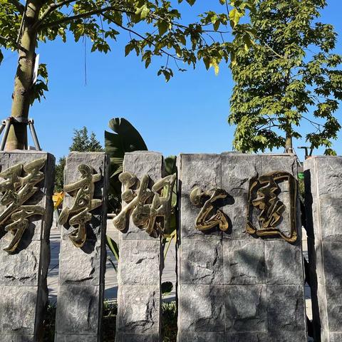 欢乐相聚，难忘琴亭湖