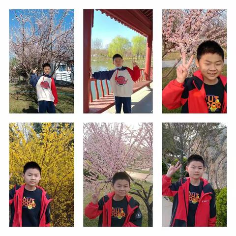 赴一场春之约——东小树苗娃赏春课程