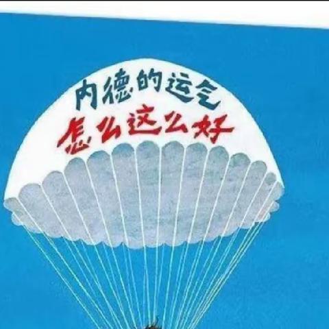 【东小树苗班系列读书活动】悦读伴娃乐成长———《内徳的运气怎么这么好》绘本共读活动